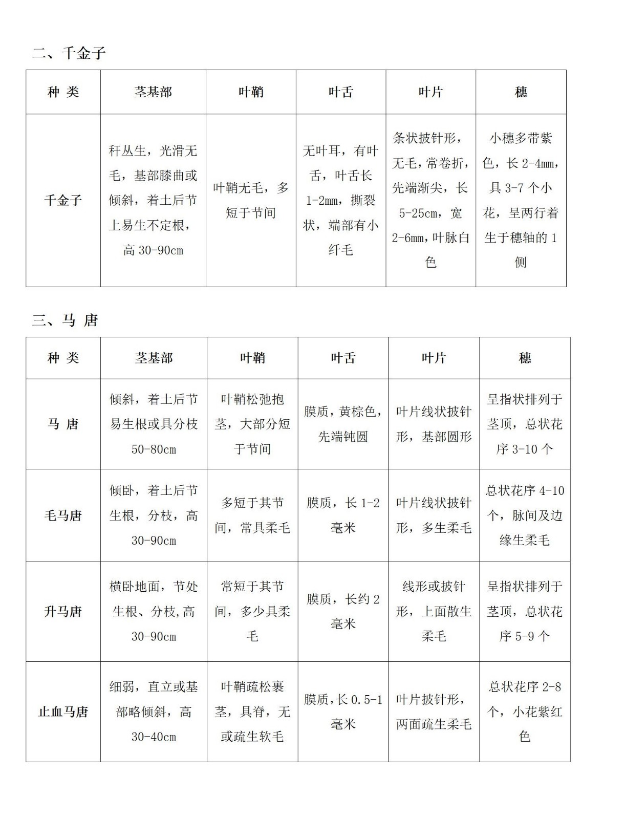 水稻田常见禾本科杂草识别_03.jpg